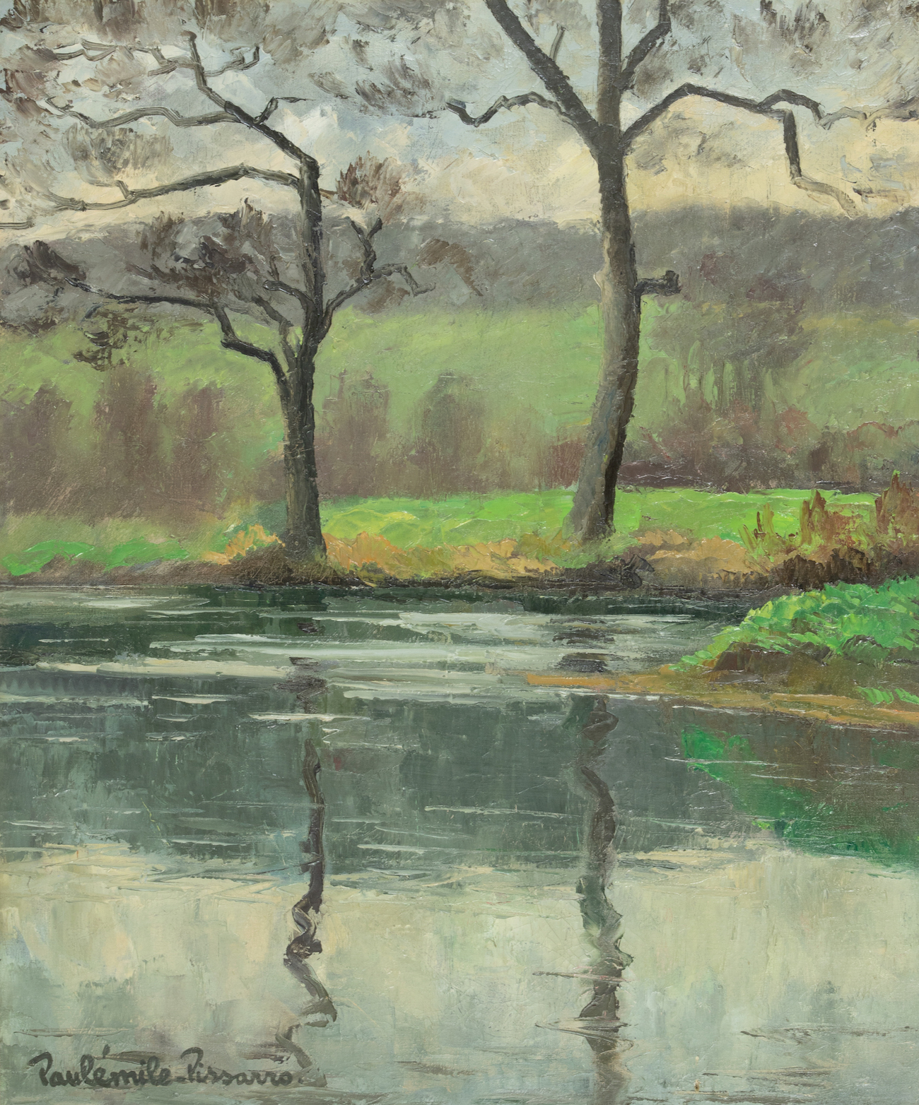 Les deux arbres au bord de la rivière dans la forêt de Lyons
